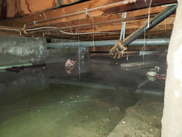 Best 24/7 water damage repair  in Eden, NC
