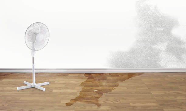 Best Water damage restoration cost  in Eden, NC