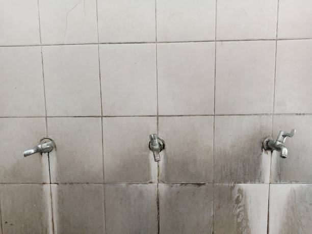 Best 24/7 water damage repair  in Eden, NC