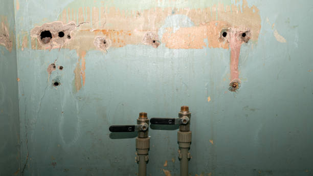 Best Commercial water damage restoration  in Eden, NC