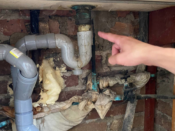 Best Basement water damage restoration  in Eden, NC