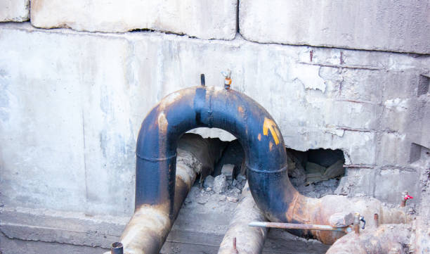 Best Carpet water damage restoration  in Eden, NC